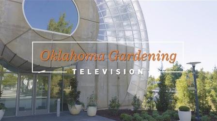 Video thumbnail: Oklahoma Gardening #4927 Gardens in the Oklahoma City Area