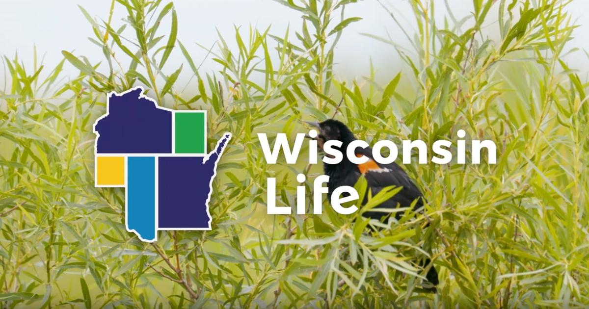 Wisconsin Life Preview Sailing Education Association of Sheboygan