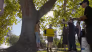 Local Feature: Episode 502