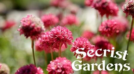 Video thumbnail: Modern Gardener Secrist Gardens in Brigham City - A Real Yard Sale