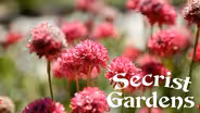 Secrist Gardens in Brigham City - A Real Yard Sale