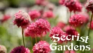 Secrist Gardens in Brigham City - A Real Yard Sale