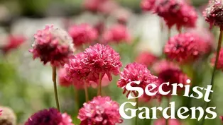 Secrist Gardens in Brigham City - A Real Yard Sale