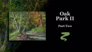 Oak Park II Part II