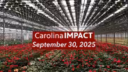 September 30, 2025 | Carolina Impact