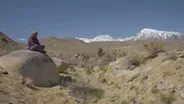 Stolen Paradise