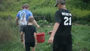 The Lands at Hillside Farms