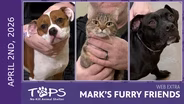 4/2/2026 | Shuddy, Bailey Bean and Tallulah | Mark's Furry Friends Extra