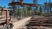 This American Land