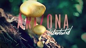 Video thumbnail: Arizona Illustrated September 16, 2018