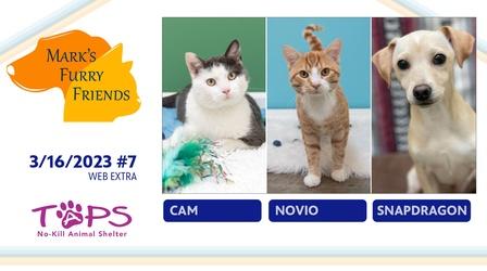 Video thumbnail: Mark’s Furry Friends 03/16/2023 | Cam, Novio and Snapdragon | Web Extra