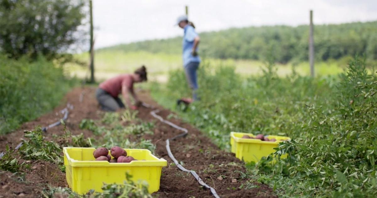 Farming In Virginia Virginia Farming | PBS