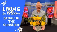 Bringing the Sunshine - Living in Bloom with J Schwanke