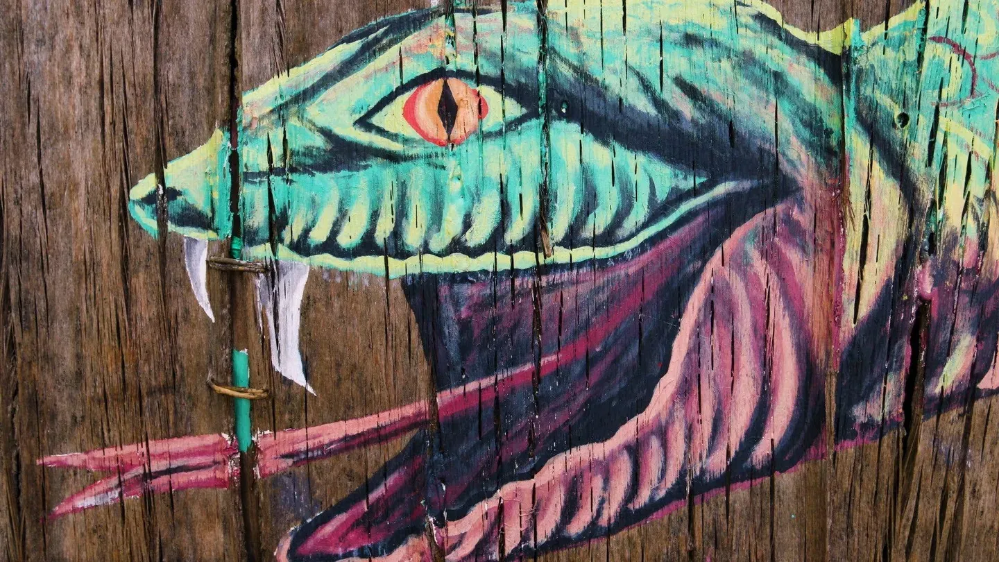 Snakes and Culture in the Amazon