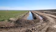 Adaptation to Global Water Shortages