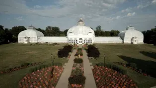 Oasis Under Glass: Buffalo's Botanical Gardens