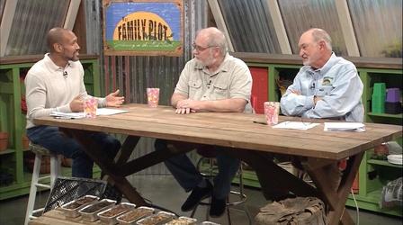 Video thumbnail: The Family Plot Kinds of Mulch & Spring Seed Problems