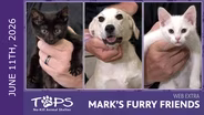 6/11/2026 | Ruby, Nan and Smoothie | Mark's Furry Friends Extra