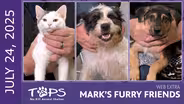 07/17/2025 | Justin, Molly Holly and Bentley | Mark's Furry Friends Extra