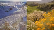 Spring Time-lapse