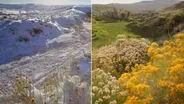 Spring Time-lapse