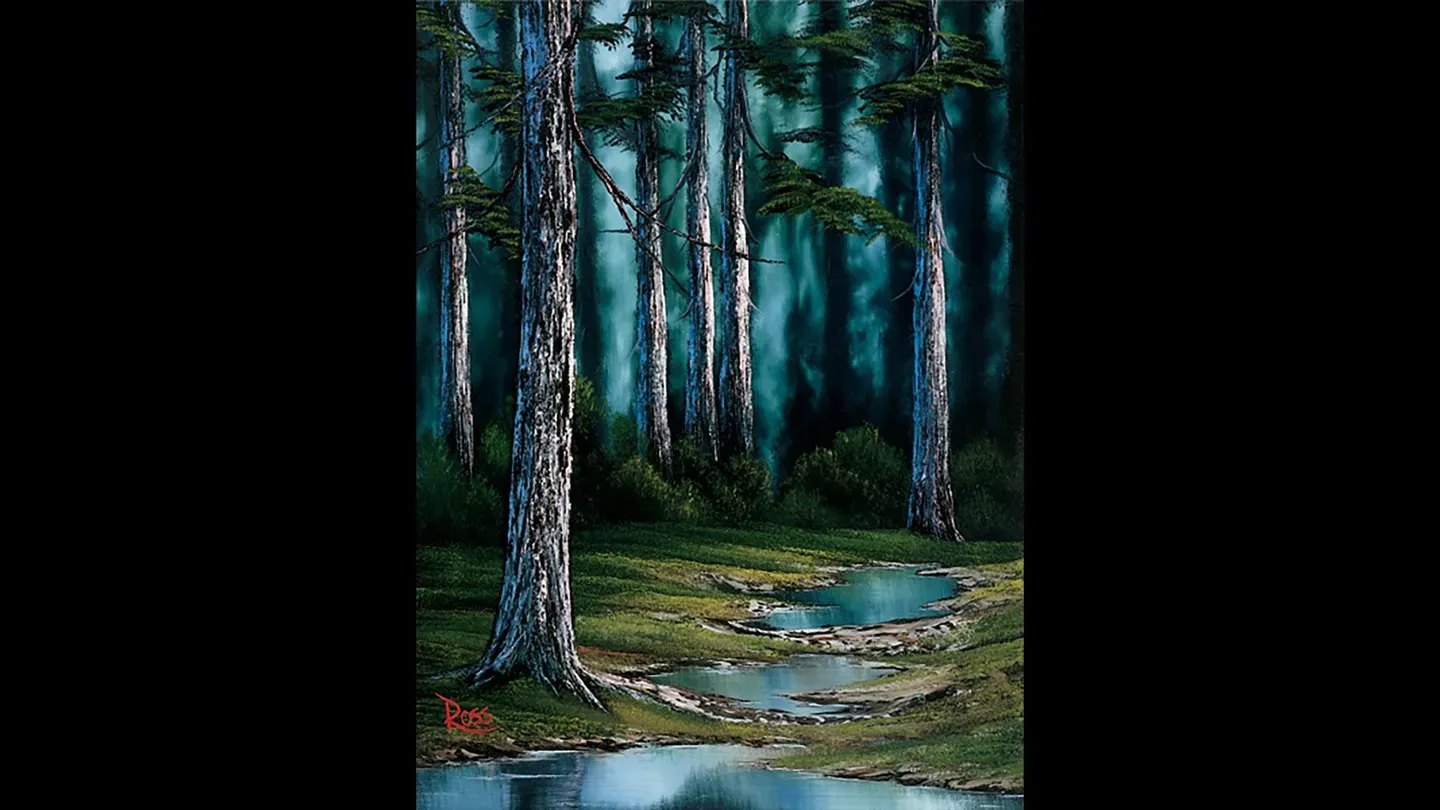 Secluded Forest