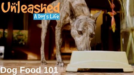 Video thumbnail: Unleashed: A Dog's Life Dog Food 101