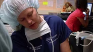 STEM Adventures: Animals and Biology