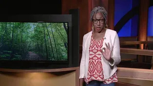Essay | Summer Camp for Adults