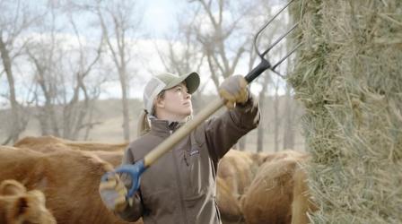Video thumbnail: RadioWest Films on PBS Utah What a Rancher Looks Like