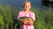 Bridge Fishing, Shore Fishing, Pier Fishing