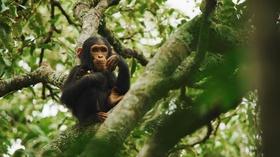 Video thumbnail: Life from Above Changing Planet