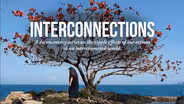 Interconnections