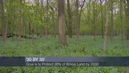 Illinois Looks to Conserve 30% of Land by 2030