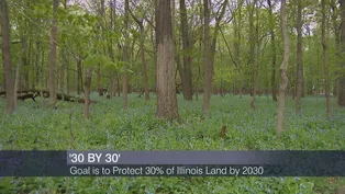 Illinois Looks to Conserve 30% of Land by 2030