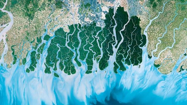 Life from Above | Episode 1 Preview | Moving Planet