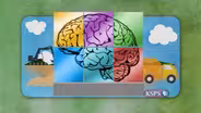 Building a Healthy Brain