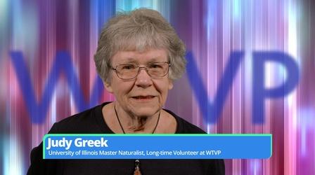 Video thumbnail: WTVP 50th Anniversary Judy Greek | 50th Anniversary