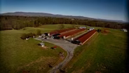 Cabeland Farm