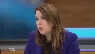 Dems Respond to Lame Duck Proposals
