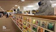 Nationwide effort to ban books challenges freedom of speech
