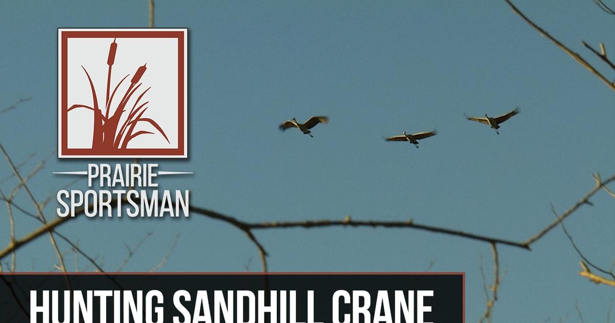 Prairie Sportsman | The Ancient Sandhill | Season 9 | Episode 7 | PBS