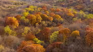 Waubonsie State Park