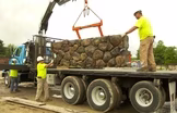 Newton GenNEXT | Salvage Helps the Bottom Line