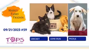 09/21/2023 | June Bug, Cricket and Pickle