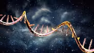 Your DNA's Codes Are (Probably) From Outer Space