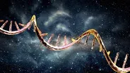 Your DNA's Codes Are (Probably) From Outer Space