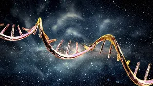 Your DNA's Codes Are (Probably) From Outer Space