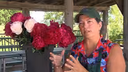 3005:Flowers & Farms