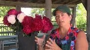 3005:Flowers & Farms